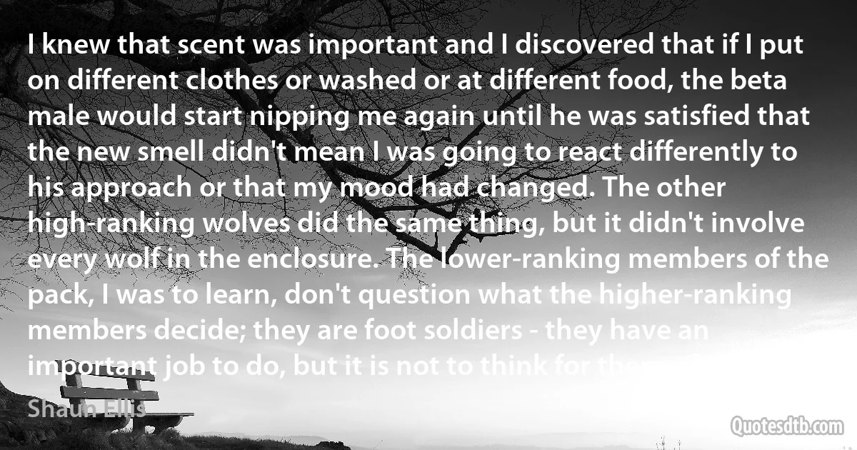 I knew that scent was important and I discovered that if I put on different clothes or washed or at different food, the beta male would start nipping me again until he was satisfied that the new smell didn't mean I was going to react differently to his approach or that my mood had changed. The other high-ranking wolves did the same thing, but it didn't involve every wolf in the enclosure. The lower-ranking members of the pack, I was to learn, don't question what the higher-ranking members decide; they are foot soldiers - they have an important job to do, but it is not to think for themselves. (Shaun Ellis)