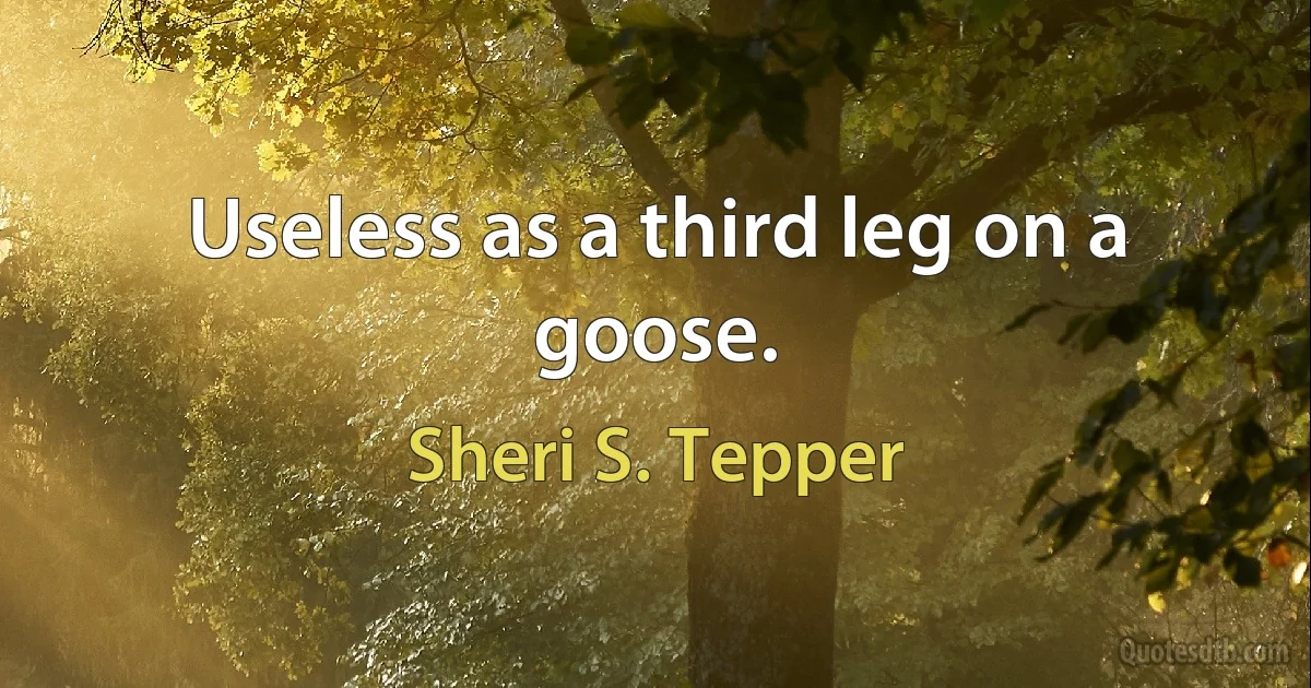 Useless as a third leg on a goose. (Sheri S. Tepper)