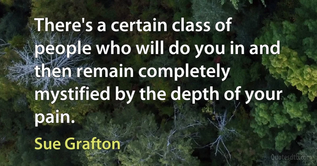 There's a certain class of people who will do you in and then remain completely mystified by the depth of your pain. (Sue Grafton)