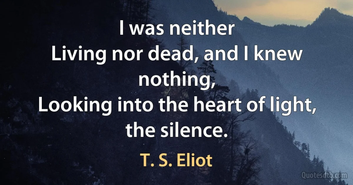 I was neither
Living nor dead, and I knew nothing,
Looking into the heart of light, the silence. (T. S. Eliot)