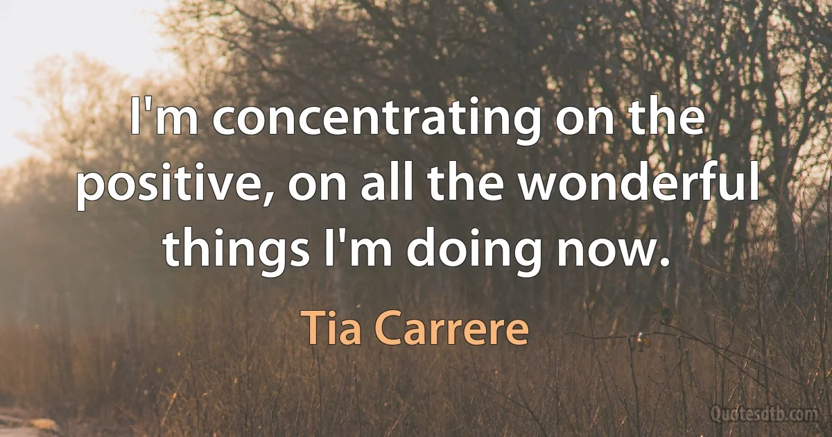 I'm concentrating on the positive, on all the wonderful things I'm doing now. (Tia Carrere)