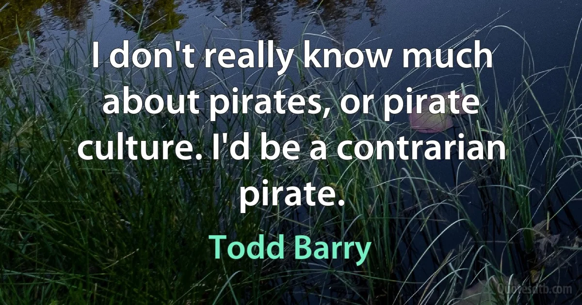 I don't really know much about pirates, or pirate culture. I'd be a contrarian pirate. (Todd Barry)