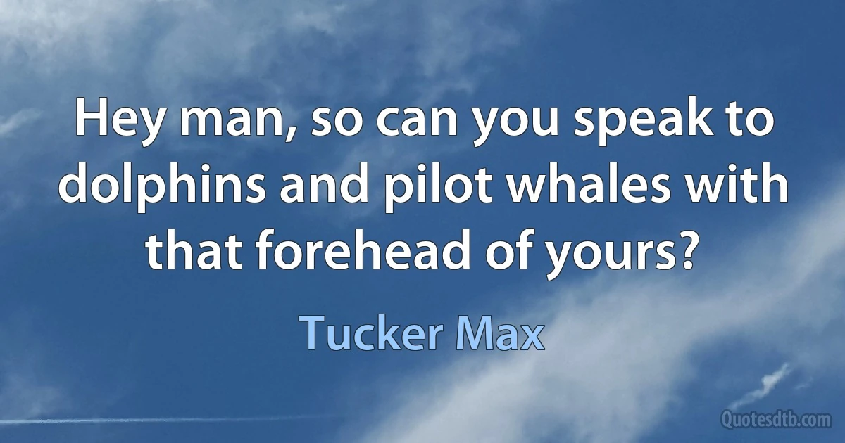 Hey man, so can you speak to dolphins and pilot whales with that forehead of yours? (Tucker Max)