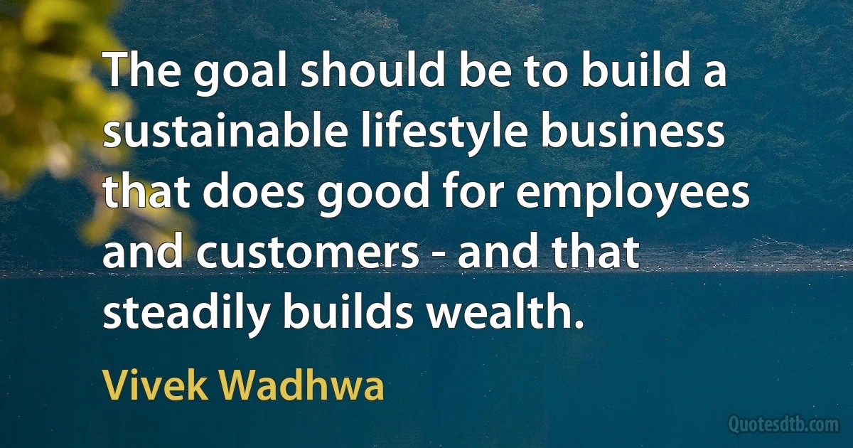 The goal should be to build a sustainable lifestyle business that does good for employees and customers - and that steadily builds wealth. (Vivek Wadhwa)