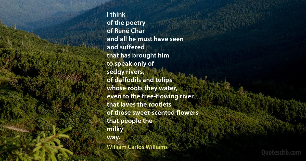 I think
of the poetry
of René Char
and all he must have seen
and suffered
that has brought him
to speak only of
sedgy rivers,
of daffodils and tulips
whose roots they water,
even to the free-flowing river
that laves the rootlets
of those sweet-scented flowers
that people the
milky
way. (William Carlos Williams)