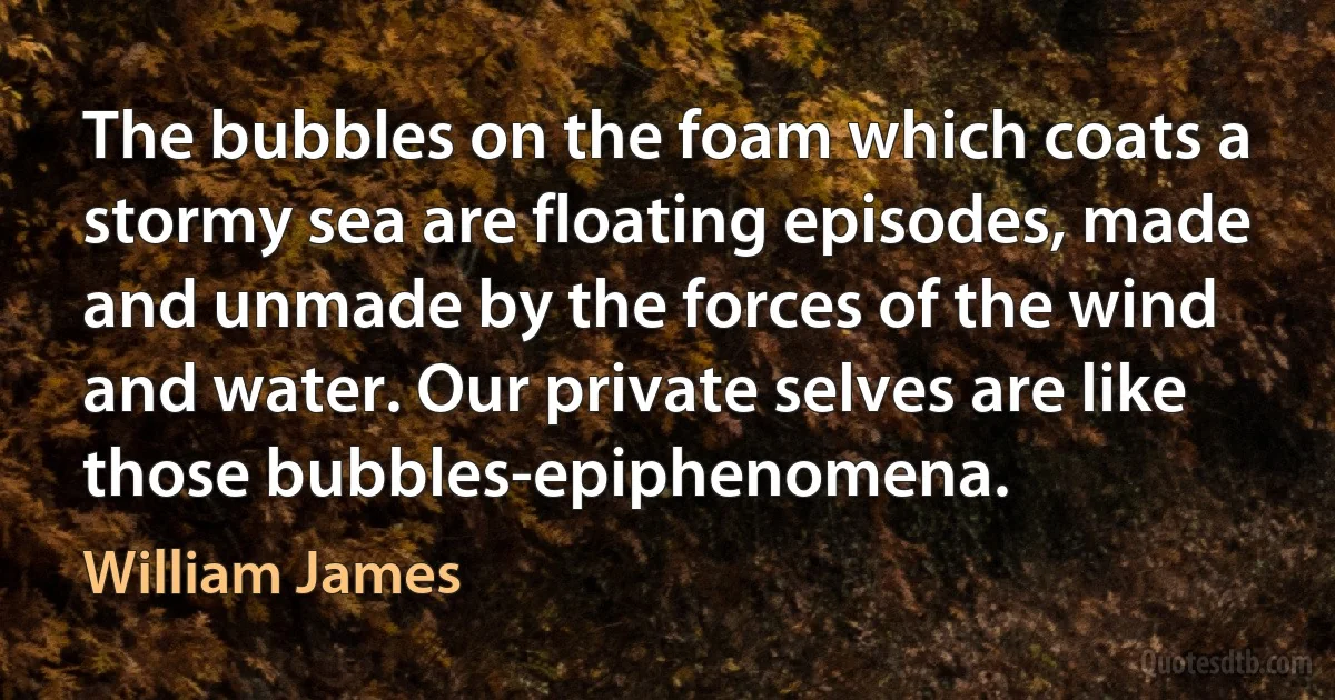 The bubbles on the foam which coats a stormy sea are floating episodes, made and unmade by the forces of the wind and water. Our private selves are like those bubbles-epiphenomena. (William James)