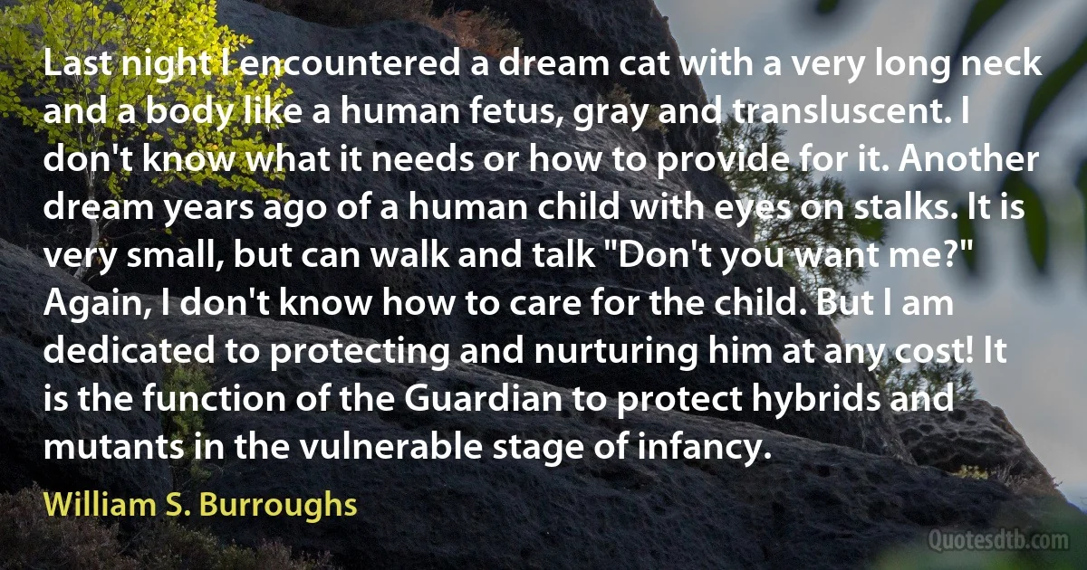 Last night I encountered a dream cat with a very long neck and a body like a human fetus, gray and transluscent. I don't know what it needs or how to provide for it. Another dream years ago of a human child with eyes on stalks. It is very small, but can walk and talk "Don't you want me?" Again, I don't know how to care for the child. But I am dedicated to protecting and nurturing him at any cost! It is the function of the Guardian to protect hybrids and mutants in the vulnerable stage of infancy. (William S. Burroughs)