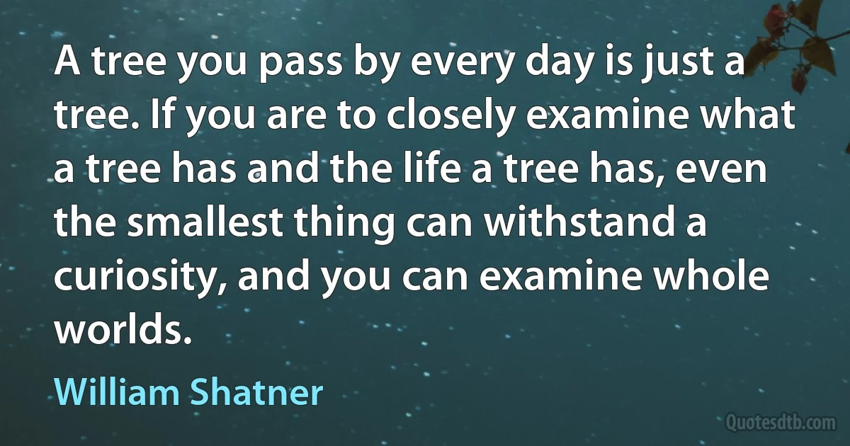 A tree you pass by every day is just a tree. If you are to closely examine what a tree has and the life a tree has, even the smallest thing can withstand a curiosity, and you can examine whole worlds. (William Shatner)