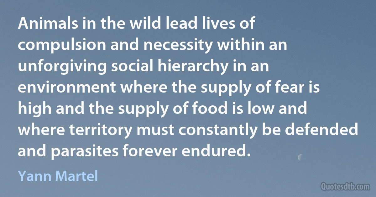 Animals in the wild lead lives of compulsion and necessity within an unforgiving social hierarchy in an environment where the supply of fear is high and the supply of food is low and where territory must constantly be defended and parasites forever endured. (Yann Martel)