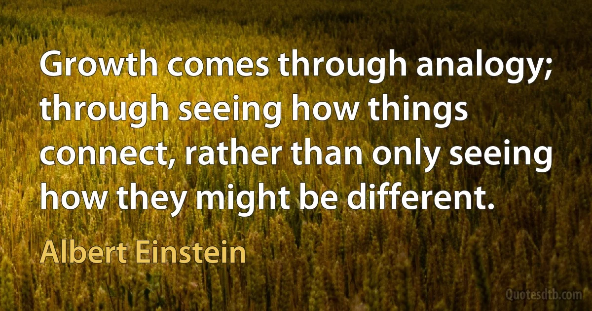 Growth comes through analogy; through seeing how things connect, rather than only seeing how they might be different. (Albert Einstein)