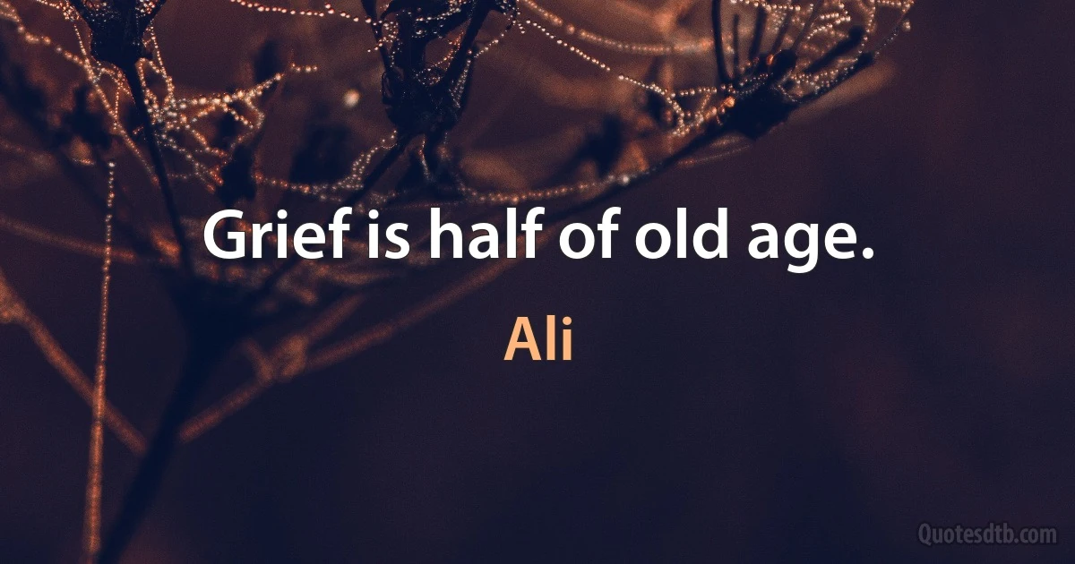 Grief is half of old age. (Ali)