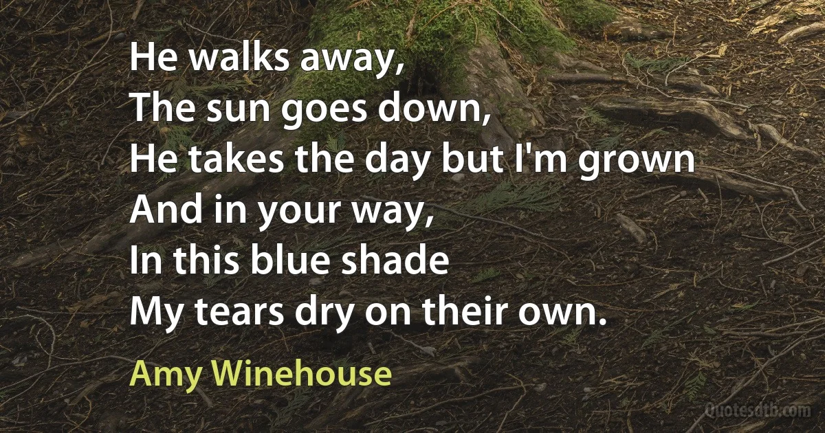 He walks away,
The sun goes down,
He takes the day but I'm grown
And in your way,
In this blue shade
My tears dry on their own. (Amy Winehouse)