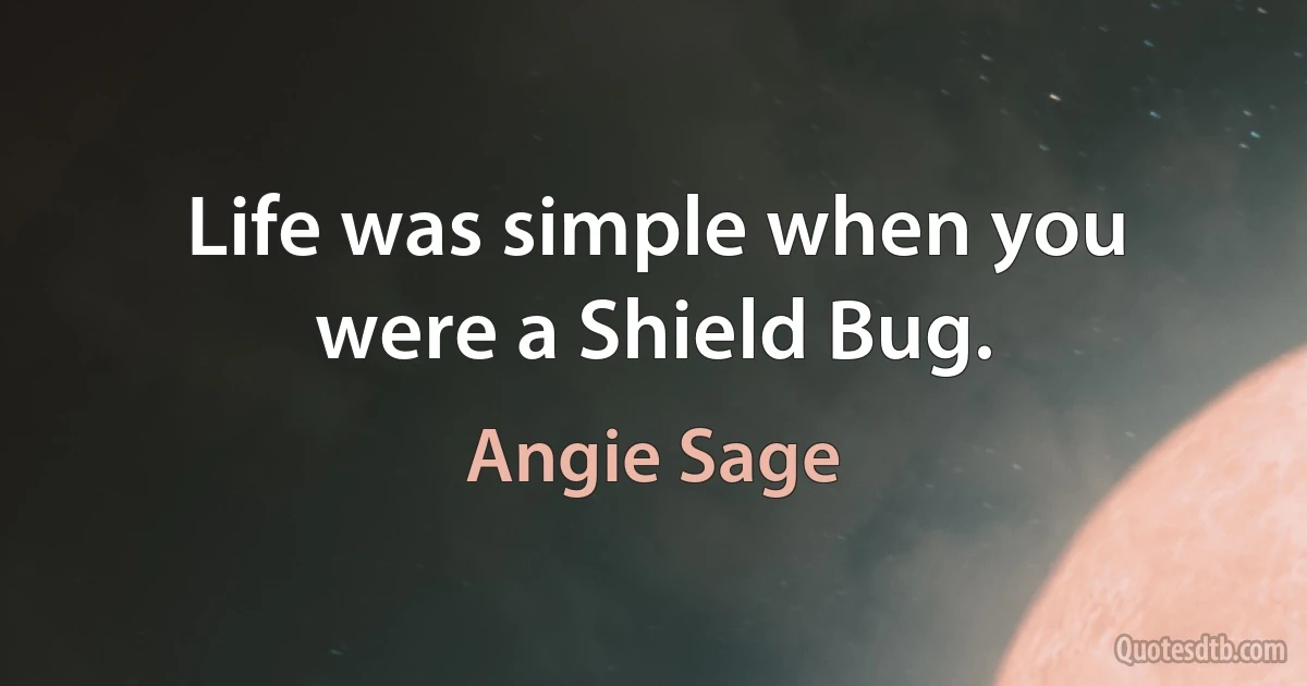 Life was simple when you were a Shield Bug. (Angie Sage)