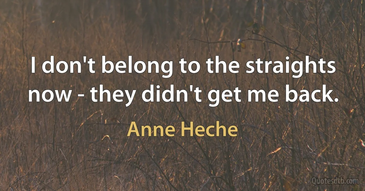 I don't belong to the straights now - they didn't get me back. (Anne Heche)