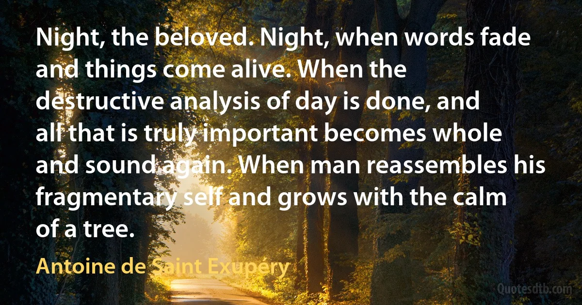 Night, the beloved. Night, when words fade and things come alive. When the destructive analysis of day is done, and all that is truly important becomes whole and sound again. When man reassembles his fragmentary self and grows with the calm of a tree. (Antoine de Saint Exupéry)