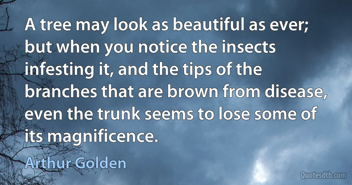 A tree may look as beautiful as ever; but when you notice the insects infesting it, and the tips of the branches that are brown from disease, even the trunk seems to lose some of its magnificence. (Arthur Golden)