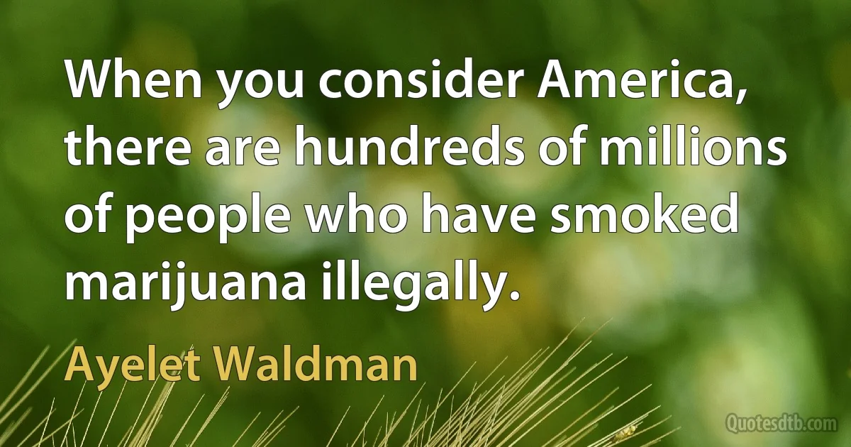 When you consider America, there are hundreds of millions of people who have smoked marijuana illegally. (Ayelet Waldman)