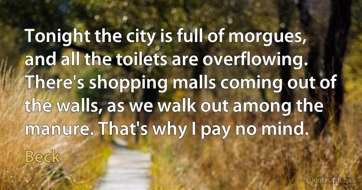 Tonight the city is full of morgues, and all the toilets are overflowing. There's shopping malls coming out of the walls, as we walk out among the manure. That's why I pay no mind. (Beck)