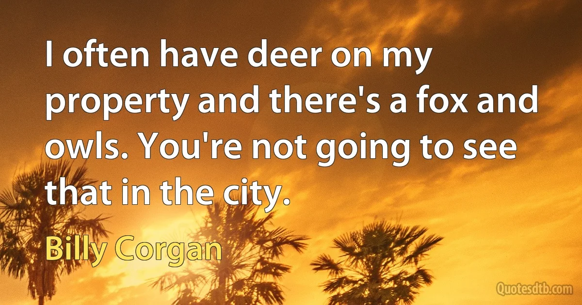 I often have deer on my property and there's a fox and owls. You're not going to see that in the city. (Billy Corgan)