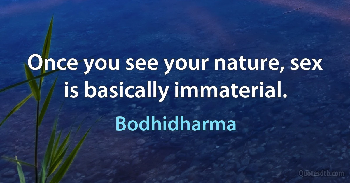 Once you see your nature, sex is basically immaterial. (Bodhidharma)