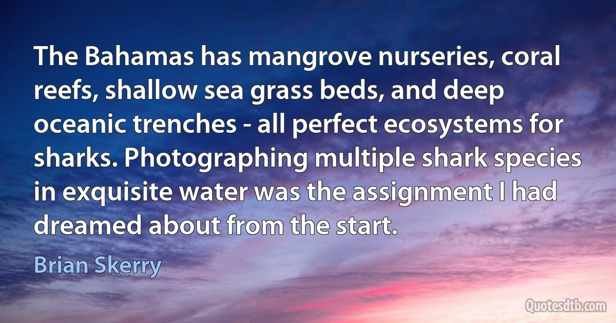 The Bahamas has mangrove nurseries, coral reefs, shallow sea grass beds, and deep oceanic trenches - all perfect ecosystems for sharks. Photographing multiple shark species in exquisite water was the assignment I had dreamed about from the start. (Brian Skerry)