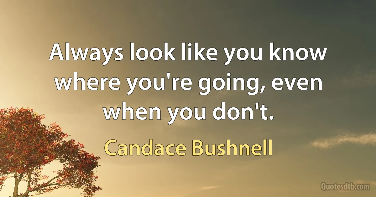 Always look like you know where you're going, even when you don't. (Candace Bushnell)