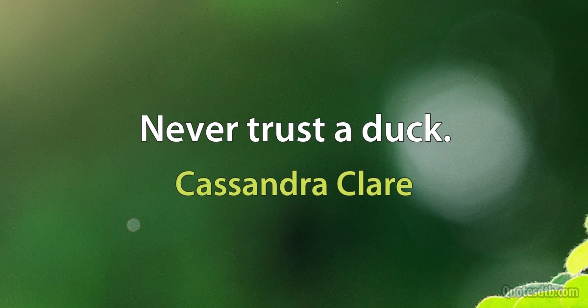 Never trust a duck. (Cassandra Clare)