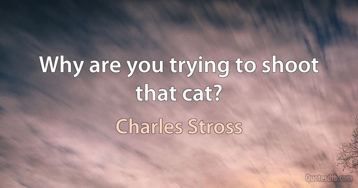 Why are you trying to shoot that cat? (Charles Stross)