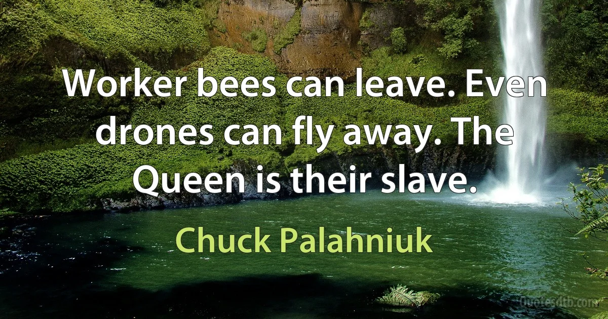 Worker bees can leave. Even drones can fly away. The Queen is their slave. (Chuck Palahniuk)