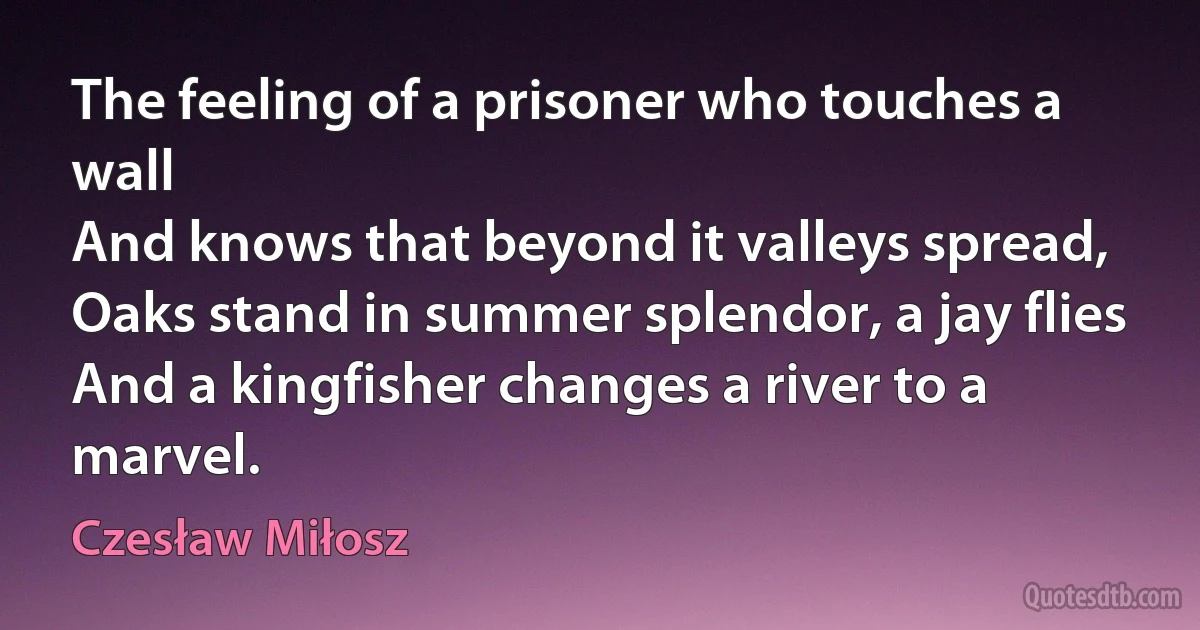 The feeling of a prisoner who touches a wall
And knows that beyond it valleys spread,
Oaks stand in summer splendor, a jay flies
And a kingfisher changes a river to a marvel. (Czesław Miłosz)