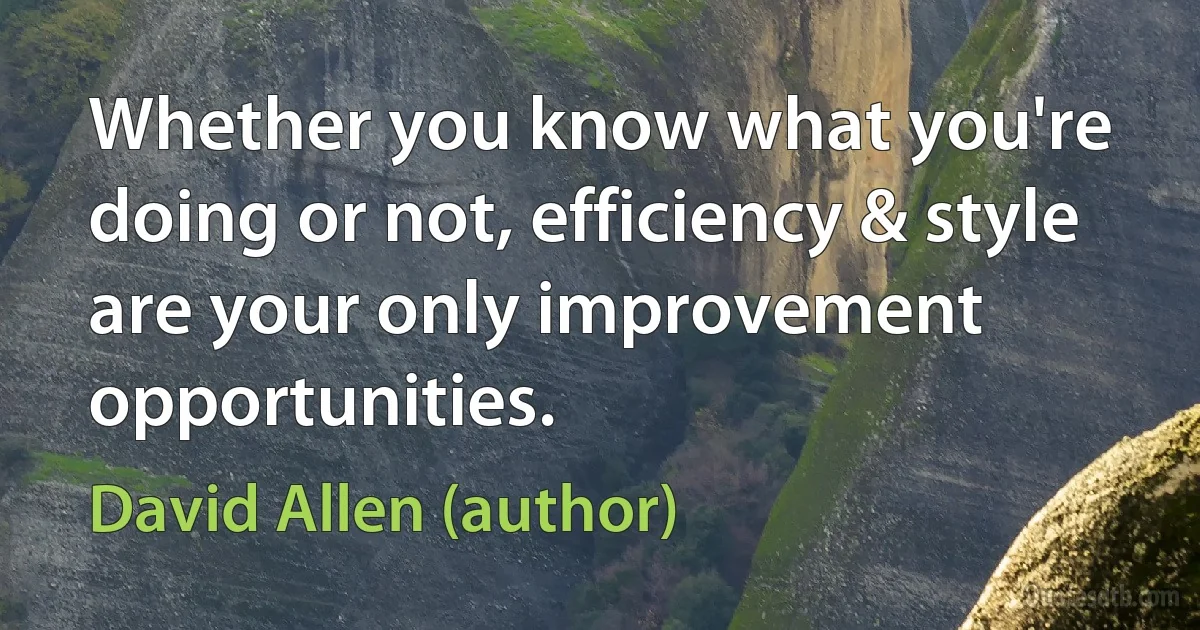 Whether you know what you're doing or not, efficiency & style are your only improvement opportunities. (David Allen (author))