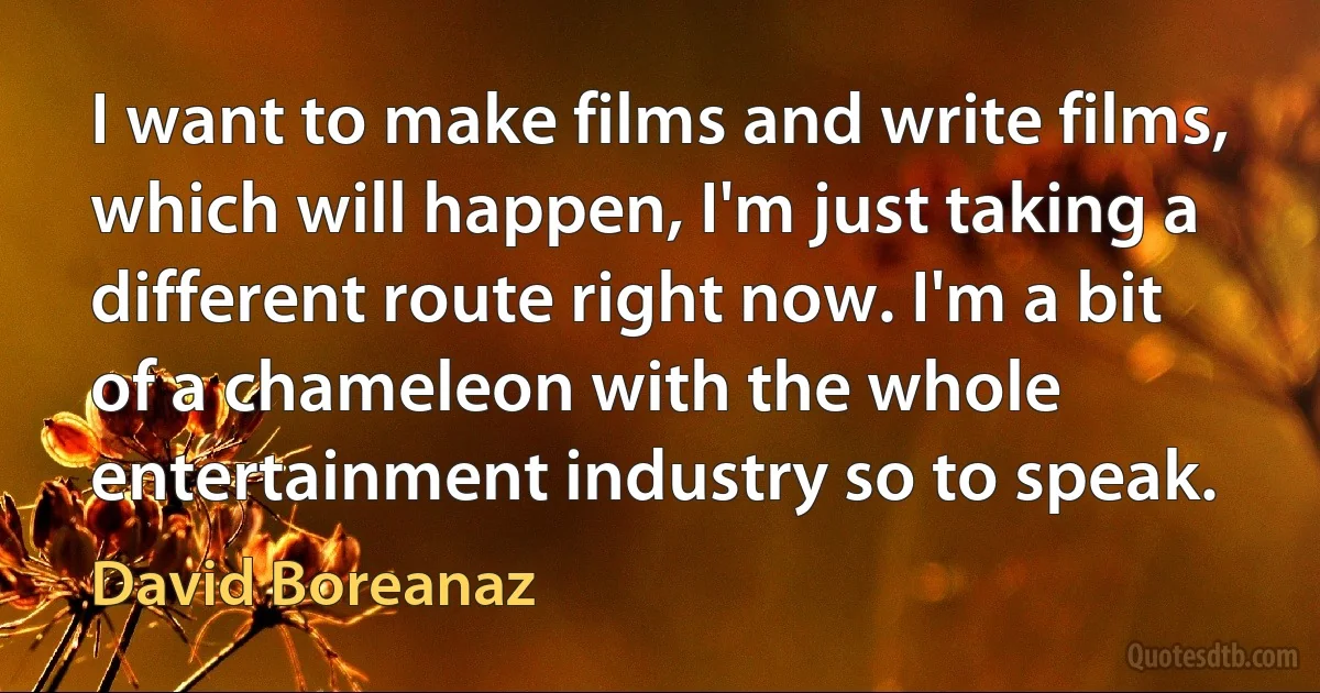 I want to make films and write films, which will happen, I'm just taking a different route right now. I'm a bit of a chameleon with the whole entertainment industry so to speak. (David Boreanaz)