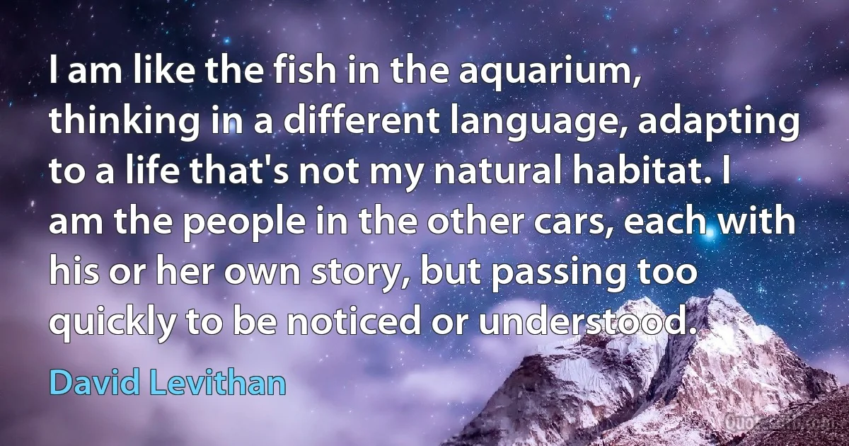 I am like the fish in the aquarium, thinking in a different language, adapting to a life that's not my natural habitat. I am the people in the other cars, each with his or her own story, but passing too quickly to be noticed or understood. (David Levithan)