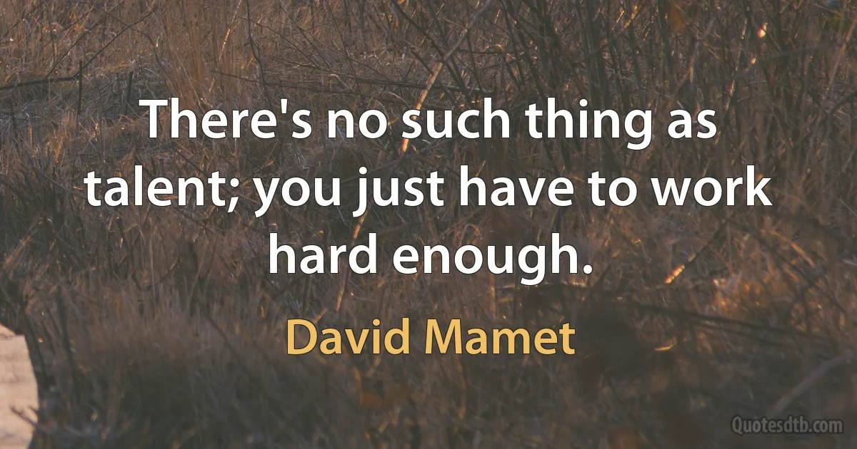 There's no such thing as talent; you just have to work hard enough. (David Mamet)