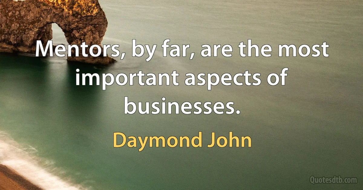 Mentors, by far, are the most important aspects of businesses. (Daymond John)