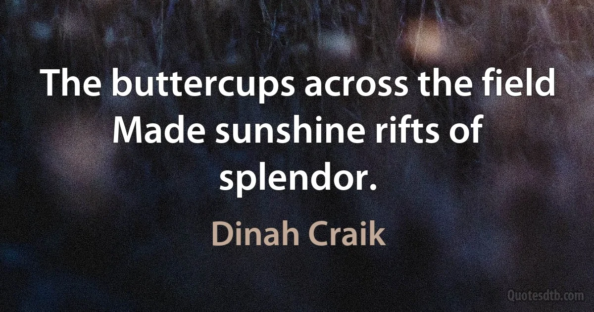 The buttercups across the field
Made sunshine rifts of splendor. (Dinah Craik)