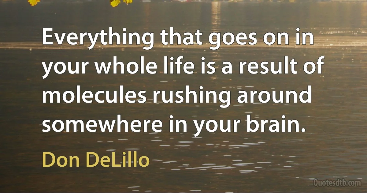 Everything that goes on in your whole life is a result of molecules rushing around somewhere in your brain. (Don DeLillo)