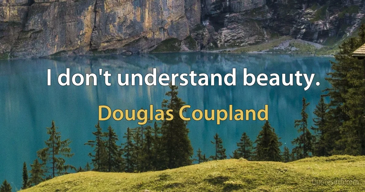 I don't understand beauty. (Douglas Coupland)