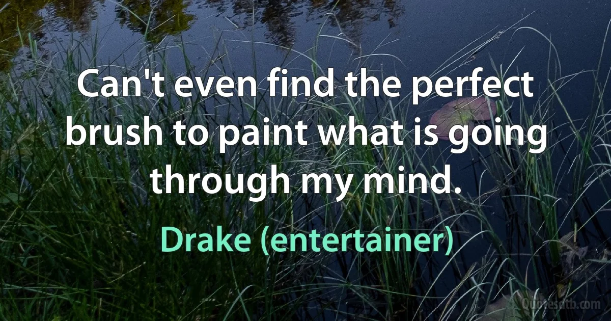 Can't even find the perfect brush to paint what is going through my mind. (Drake (entertainer))