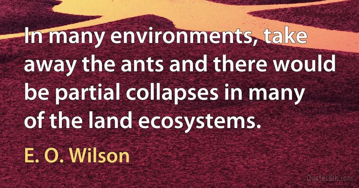 In many environments, take away the ants and there would be partial collapses in many of the land ecosystems. (E. O. Wilson)