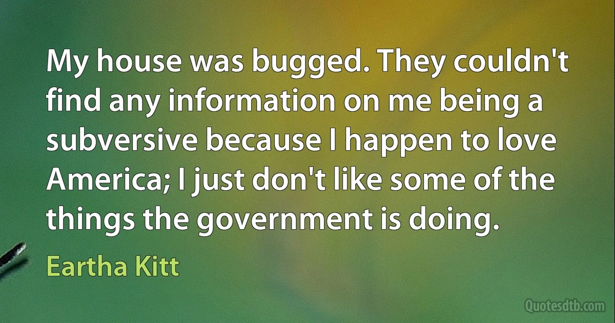 My house was bugged. They couldn't find any information on me being a subversive because I happen to love America; I just don't like some of the things the government is doing. (Eartha Kitt)