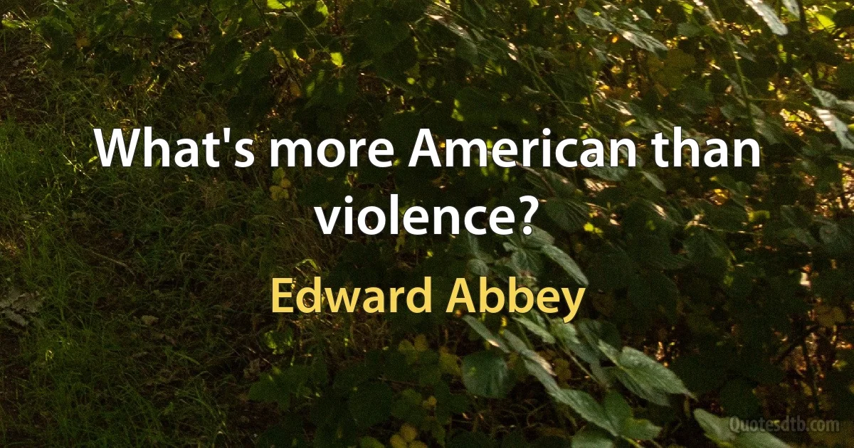 What's more American than violence? (Edward Abbey)