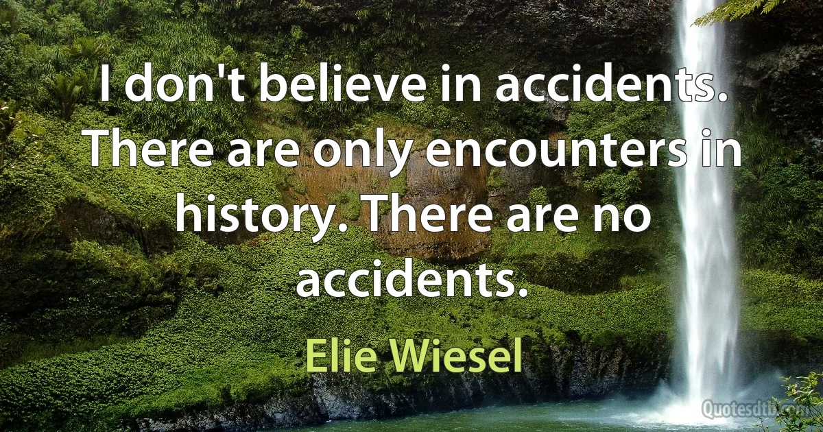 I don't believe in accidents. There are only encounters in history. There are no accidents. (Elie Wiesel)