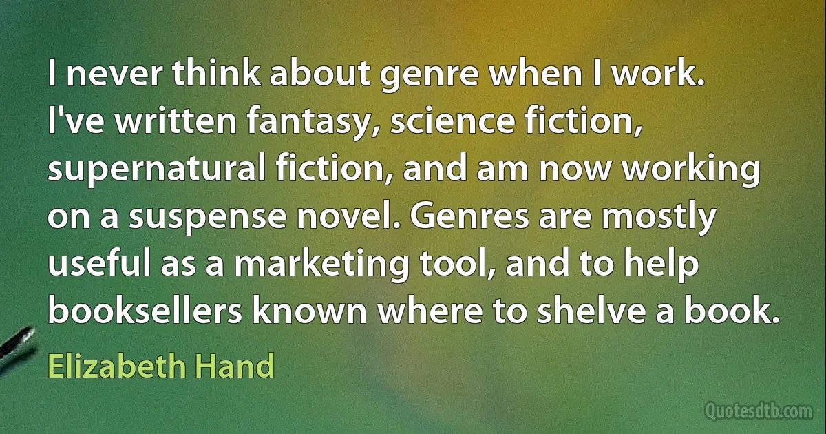 I never think about genre when I work. I've written fantasy, science fiction, supernatural fiction, and am now working on a suspense novel. Genres are mostly useful as a marketing tool, and to help booksellers known where to shelve a book. (Elizabeth Hand)