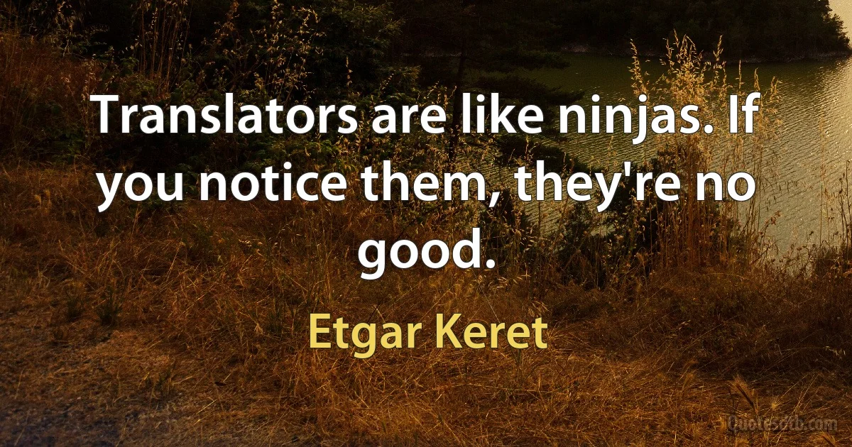 Translators are like ninjas. If you notice them, they're no good. (Etgar Keret)