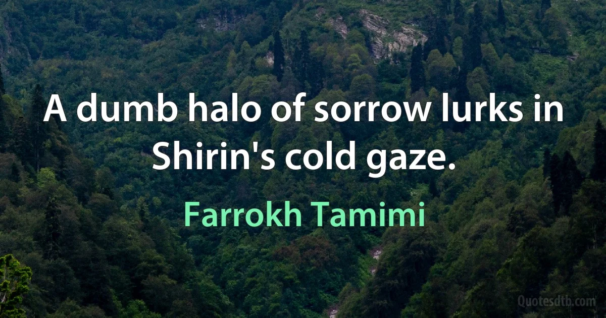 A dumb halo of sorrow lurks in Shirin's cold gaze. (Farrokh Tamimi)