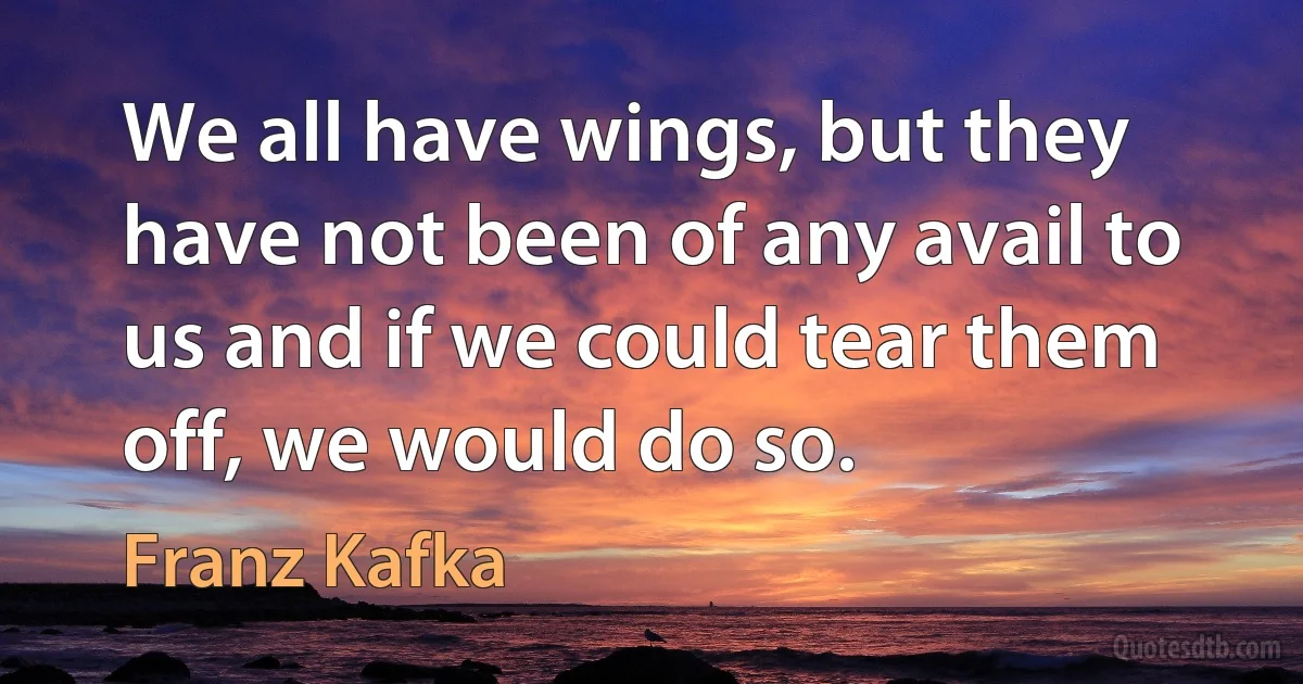 We all have wings, but they have not been of any avail to us and if we could tear them off, we would do so. (Franz Kafka)