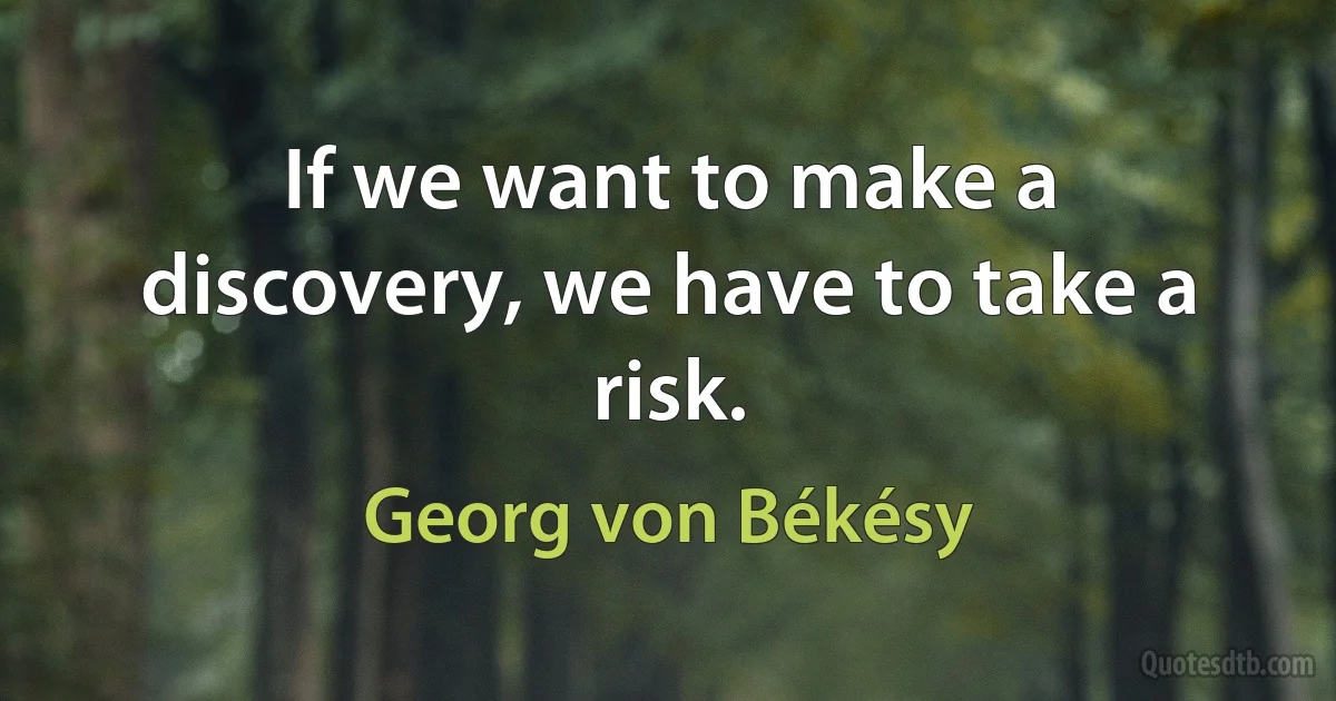 If we want to make a discovery, we have to take a risk. (Georg von Békésy)