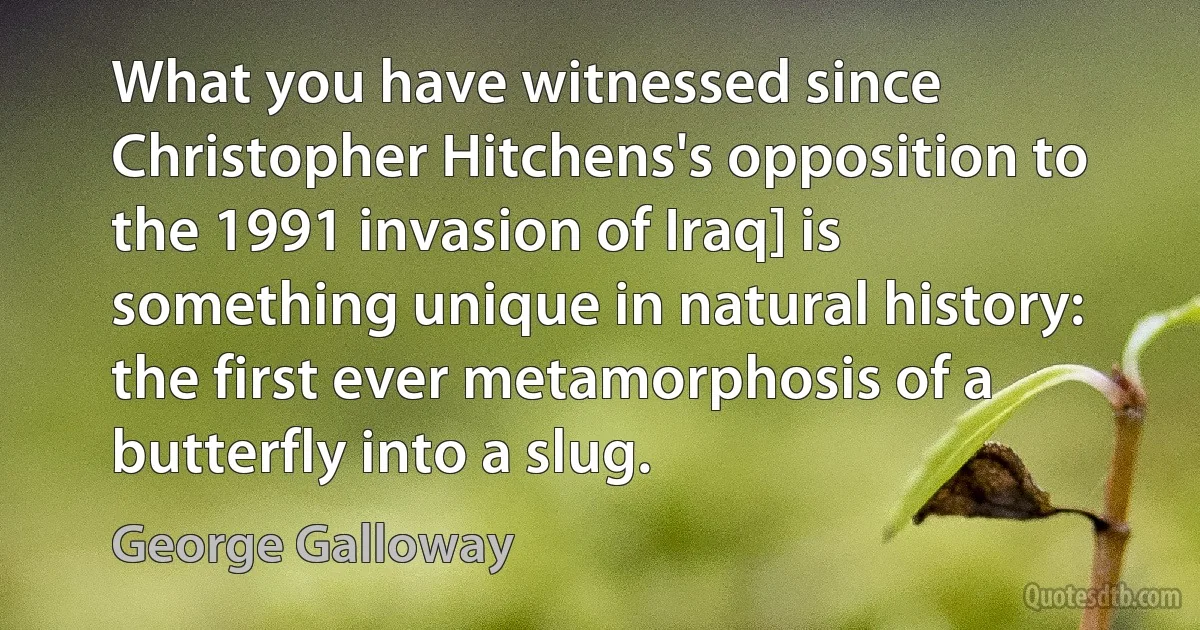 What you have witnessed since Christopher Hitchens's opposition to the 1991 invasion of Iraq] is something unique in natural history: the first ever metamorphosis of a butterfly into a slug. (George Galloway)