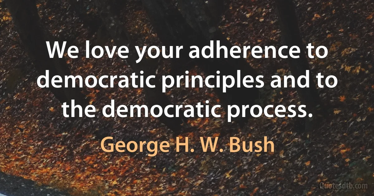 We love your adherence to democratic principles and to the democratic process. (George H. W. Bush)